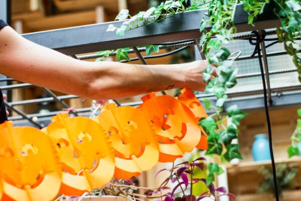 Photo Digital Transformation Food Industry