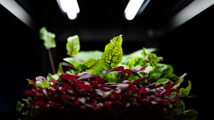 Photo Digital Transformation Food Industry