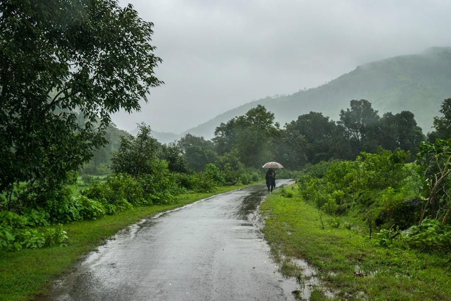Photo Monsoon