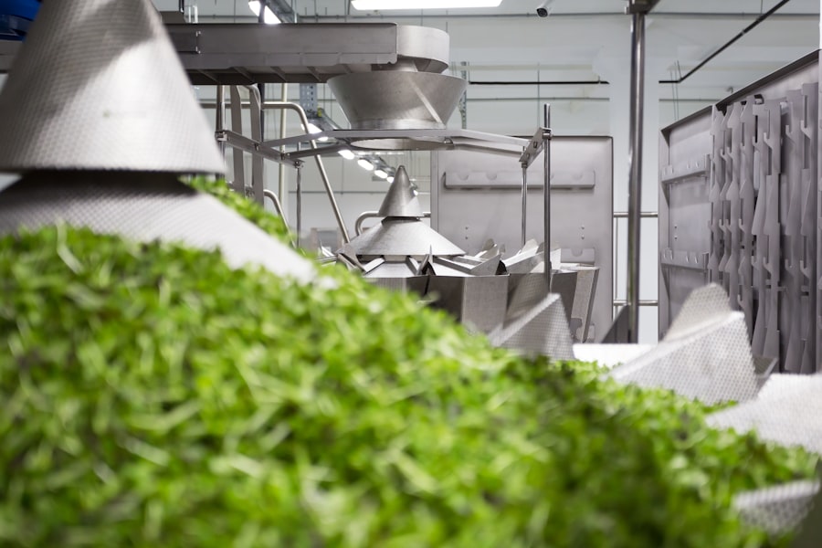 Photo Digital Transformation Food Industry
