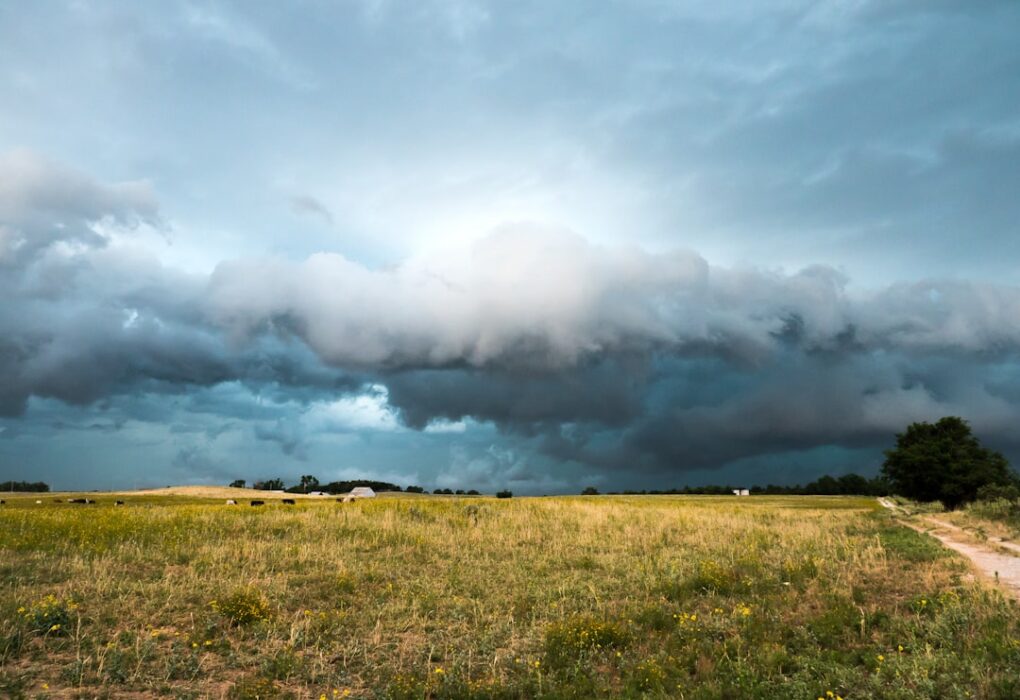 Photo Great Plains