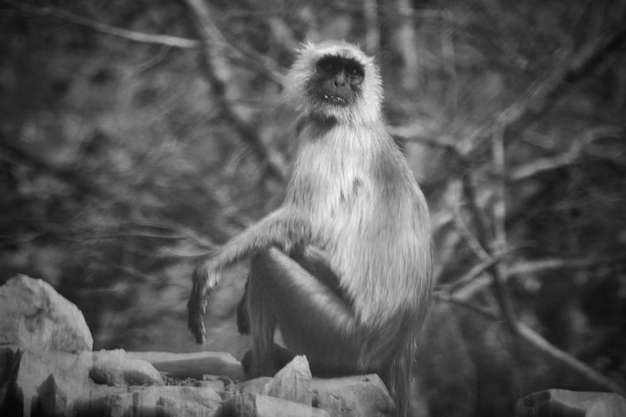 Photo Wild Places