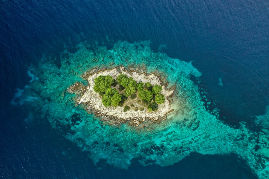 Island Within