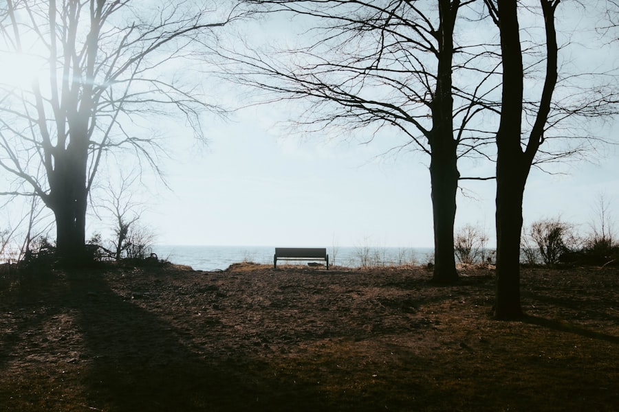 Solace of Open Spaces