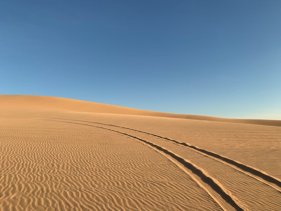 Desert Solitaire