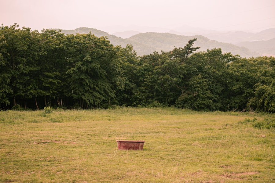 Photo Solace of Open Spaces
