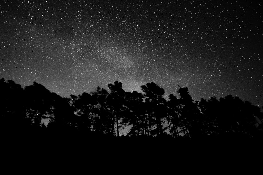 Photo Black
