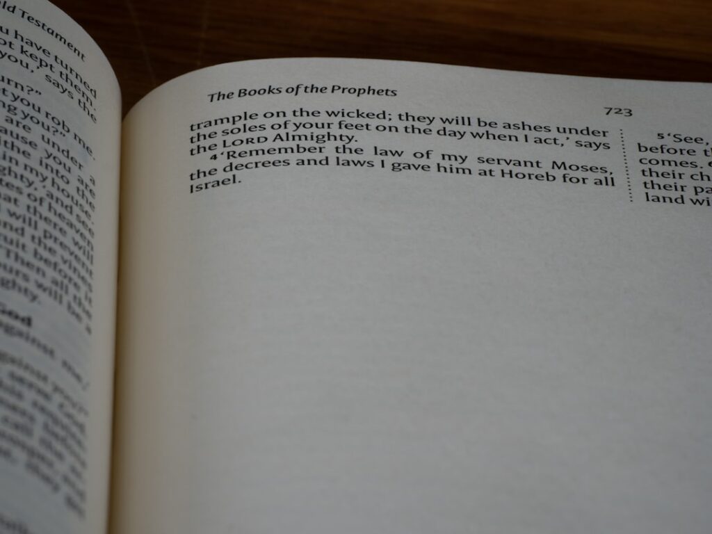 Photo Autobiography of Eleanor Roosevelt