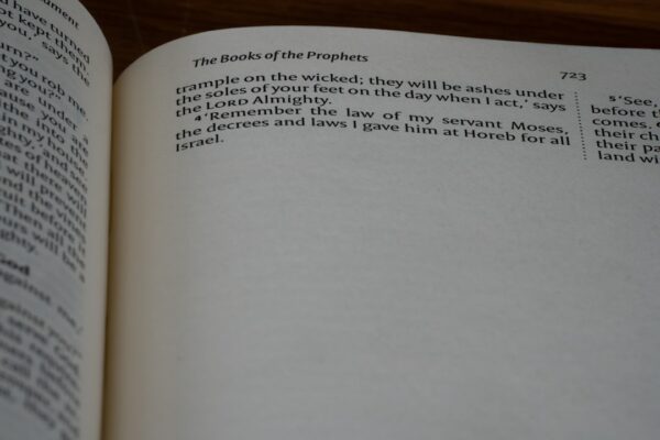 Photo Autobiography of Eleanor Roosevelt