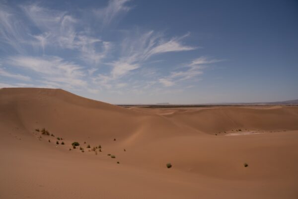 Photo Desert Solitaire