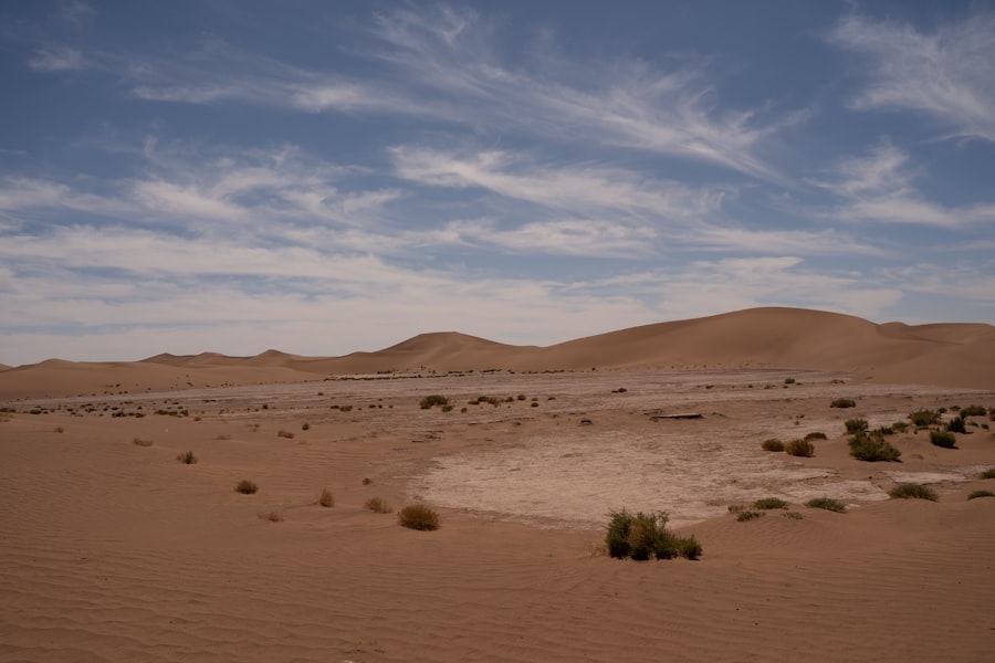 Photo Desert Solitaire