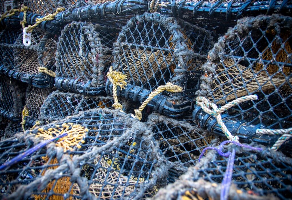 Photo Bluefishing