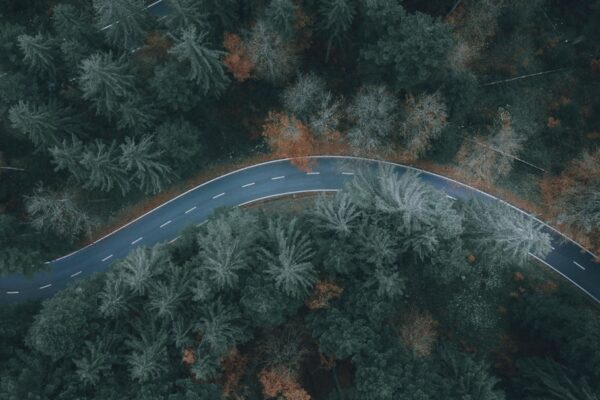 Photo Automation Roadmap