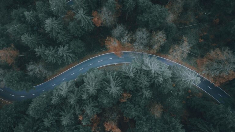 Photo Automation Roadmap