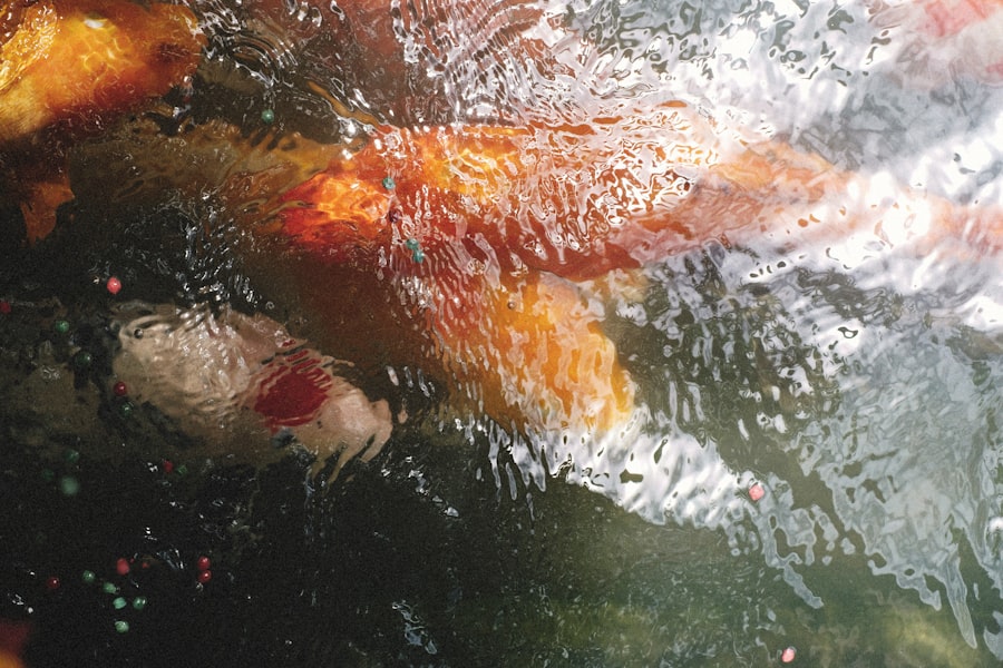 Photo Swimlanes & Handovers