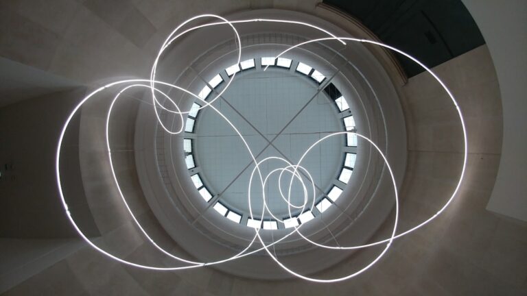 Photo Feedback Loop Company