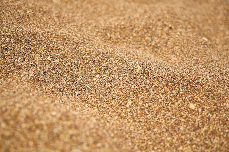 Photo Grain Race
