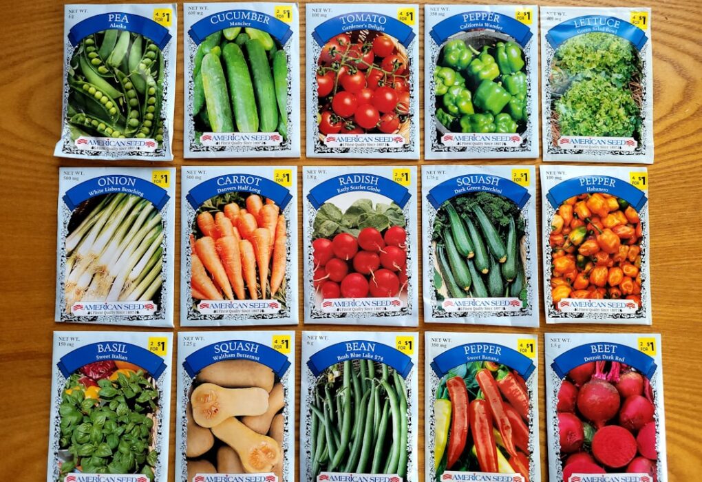 Photo Food Revolution