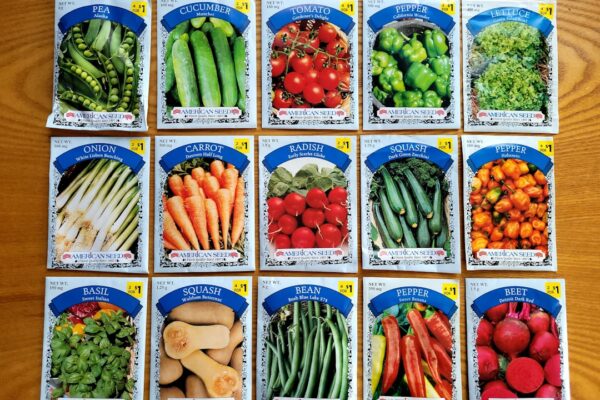 Photo Food Revolution