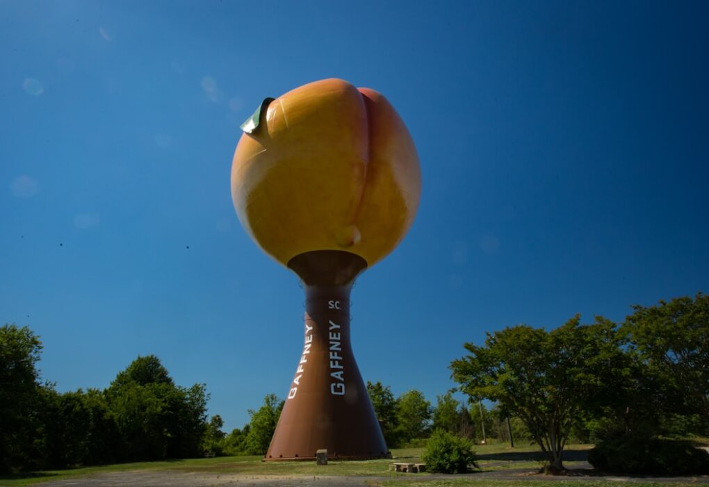 Photo Deep South