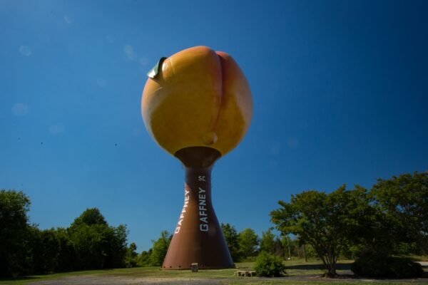 Photo Deep South