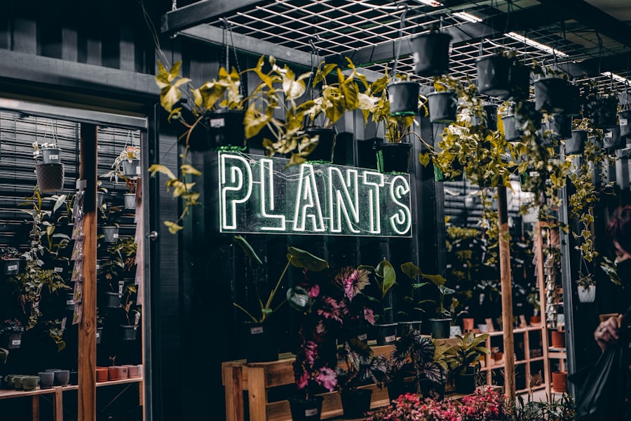 Photo Plant-Based Solution