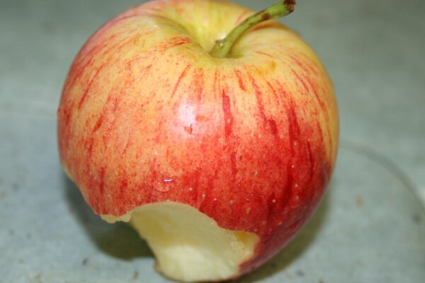 Photo Turk Who Loved Apples