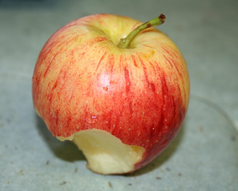 Photo Turk Who Loved Apples