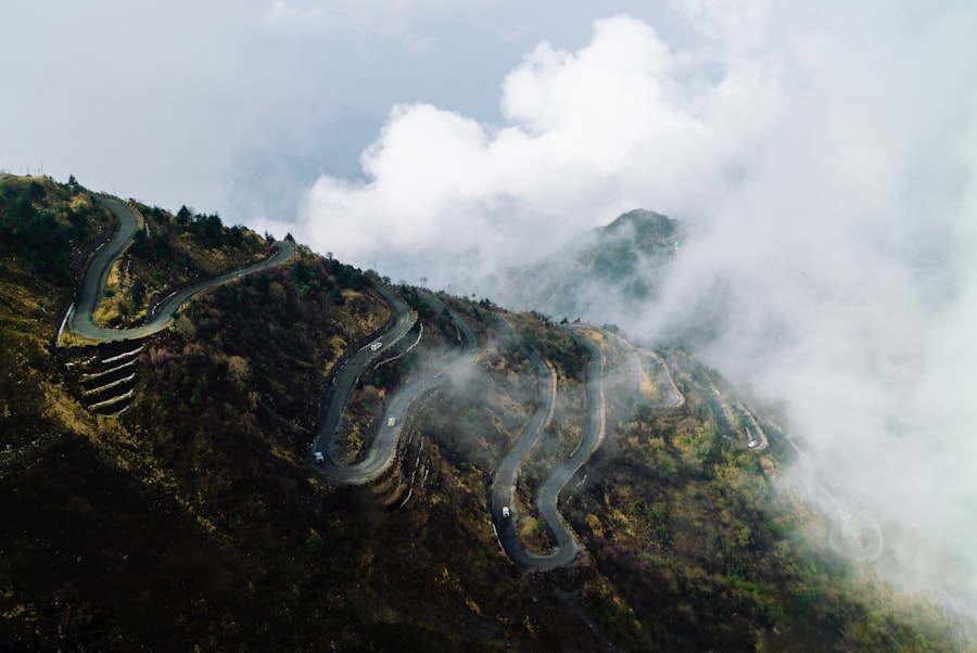 Silk Roads