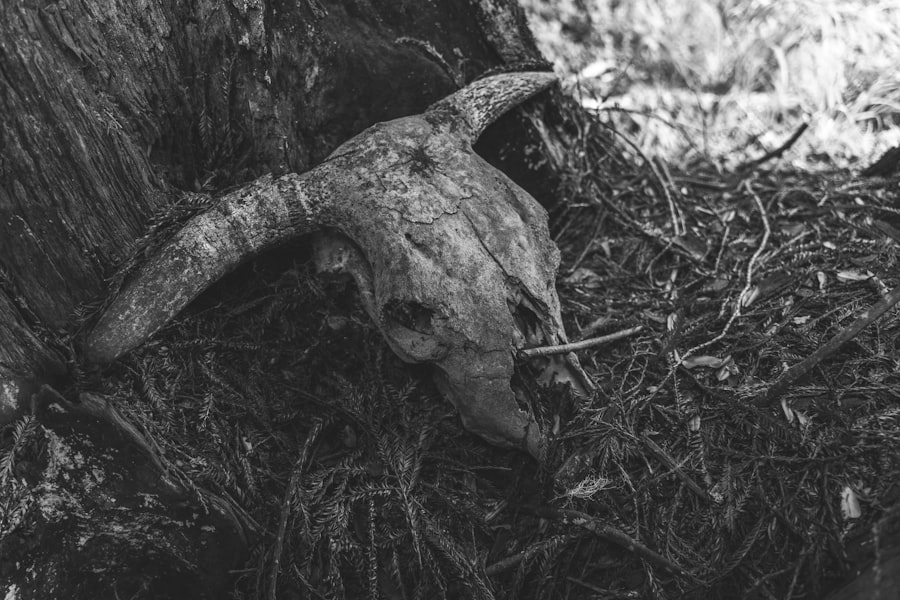 Autobiography of Leigh Hunt