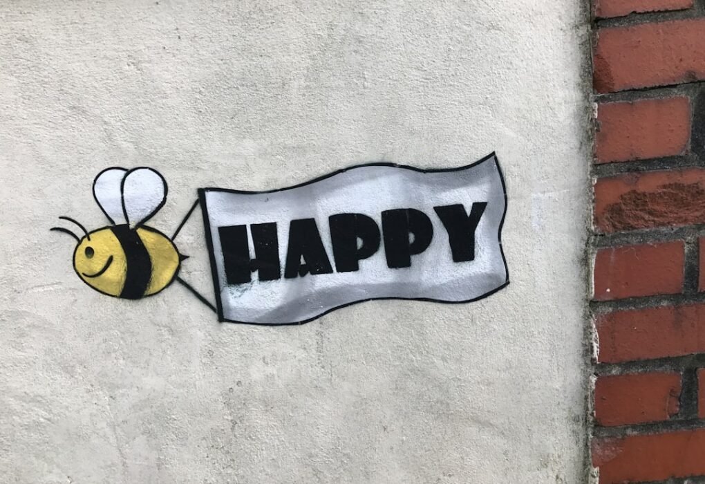 Photo Economics of Happiness