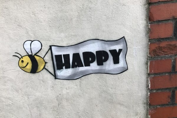 Photo Economics of Happiness