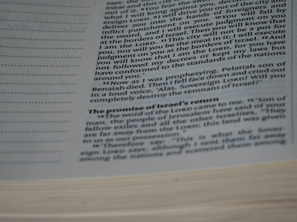 Photo Autobiography of a Flea