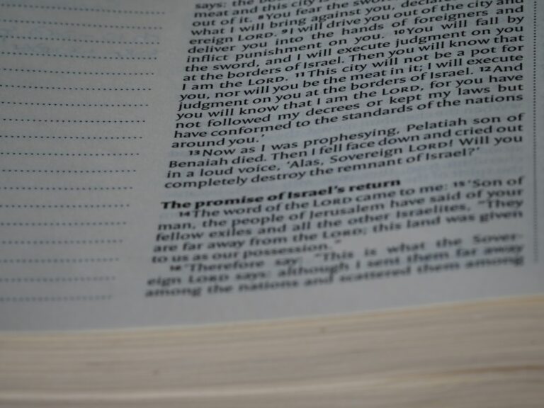 Photo Autobiography of a Flea