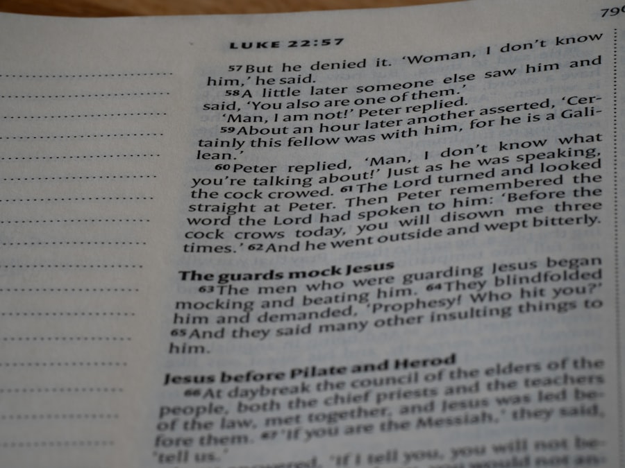 Photo Autobiography of a Slave