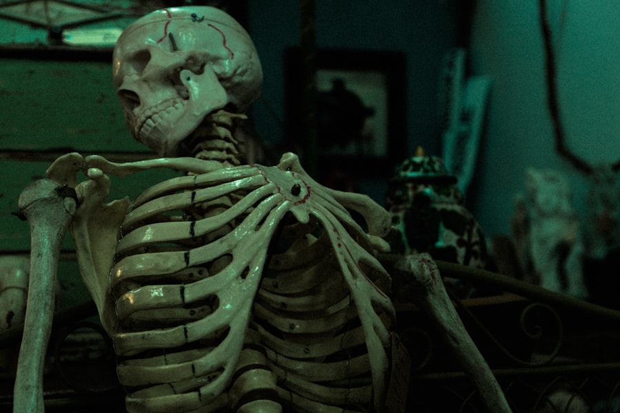 Photo Bones Know