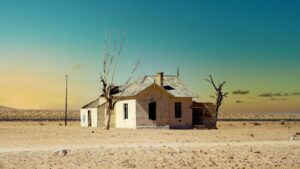 Photo Economics of the New Economy