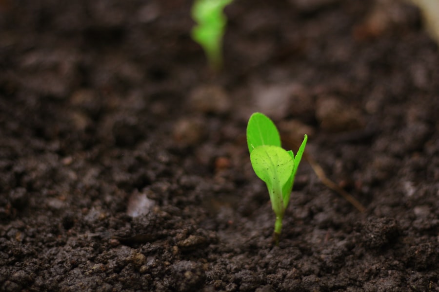 Photo Economic Growth