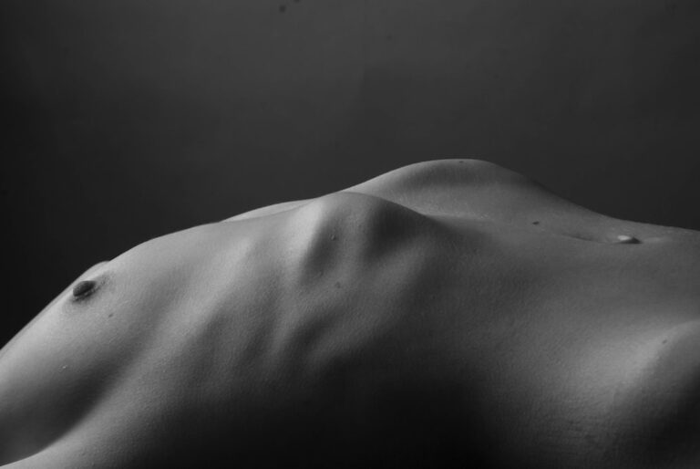 Photo Body