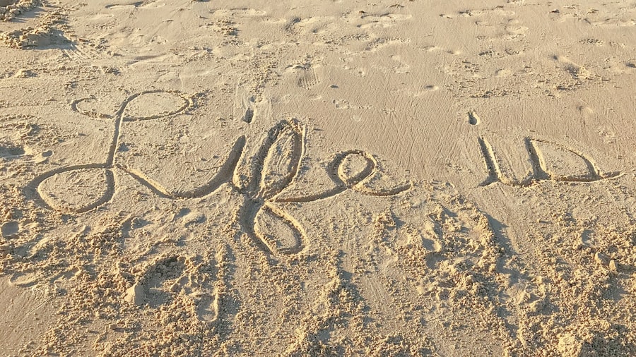 Photo Stolen Life