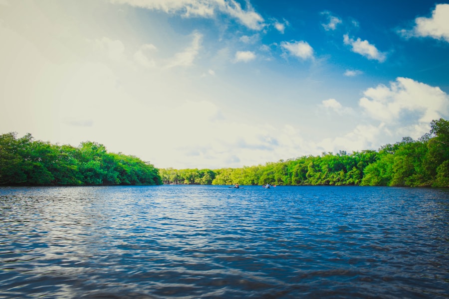 Photo River